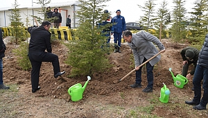 Jandarma kontrol noktasına ağaçlandırma