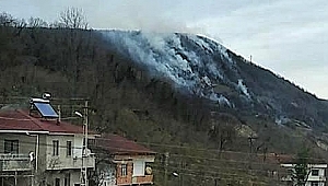 Karadeniz Bölgesinde Orman Yangınları Uyarısı 