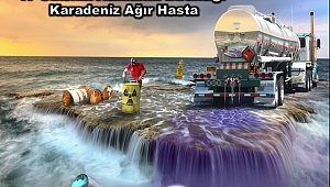 Karadeniz'de kirlilik alarmı