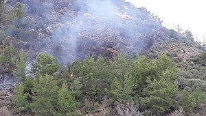 Ormancılar, Yangını Muz Bahçelerine Ulaşmadan Söndürdü