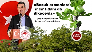 Tarım ve Orman Bakan Pakdemirli: 