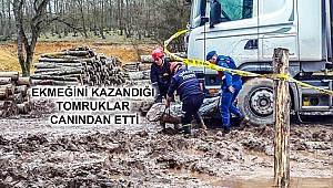 Üzerine tomruk düşen vatandaş hayatını kaybetti