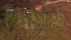 19 bin 19 fidan ile Türkiye haritası