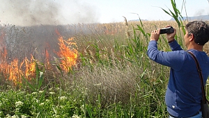 328 Kuş Türünün Yaşadığı Göksu Deltası'nda Yangın 