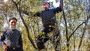 75'lik Dede gençlere taş çıkarıyor, ekmeğini ağaçlardan çıkarıyor