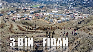 Arapgir'de 3 bin fidan toprakla buluştu