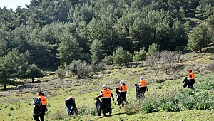 Belediye Ormana Atılan Çöpleri Temizledi