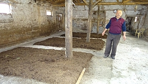 Besicilikten zarar etti, solucan gübresi üretimine başladı 