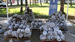 Büyükşehir Belediyesi Üreticiye 31 Bin Adet Ahududu Fidanı Dağıttı 