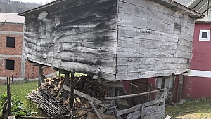 Buzdolabı, Derin Dondurucu Yokken Ambarlar Vardı...