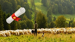 Diplomalı Çobanlık Kursuna Emekli Öğretmenler Bile Katıldı