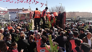 Erzincan’da fidan izdihamı