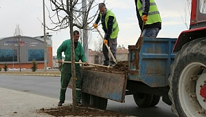  Erzincan'dan Sivas'a Giden Yol Yeşilleniyor