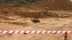 Fidan üretiminde kullanılan topraktan top mermisi çıktı