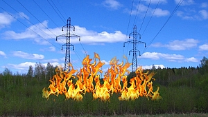 Fırtına Ormanı Yaktı