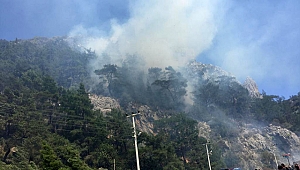 Olympos'ta çıkan orman yangını söndürüldü