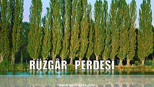 Rüzgar Perdesi Nedir Önemi Nedir?