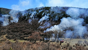 Seyitgazi Yarbasan'da orman yangını
