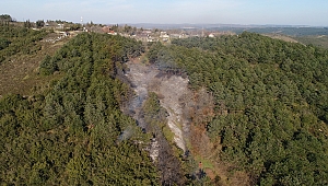 Sultangazi'de Orman Yangını