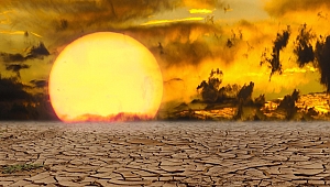 Almanya’da 2019'da çöl sıcakları etkili olacak