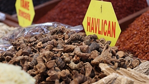 Bahar nezlesinin şifası havlıcan