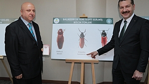 Balıkesir Ormanlarında 3 Böcek Türü Keşfedildi