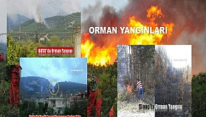 Hatay ve Sinop'ta Orman Yangınları