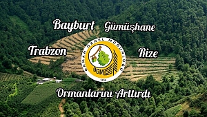Karadeniz'de 4 İlin Ormanları Arttı