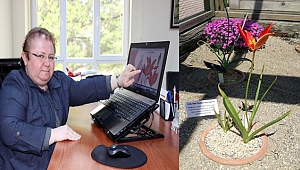 Yıllardır aranan ‘yitik lale’ anayurduna dönüyor