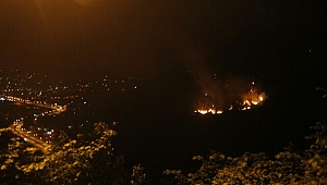 Giresun'da Çıkan Orman Yangını Gece de Devam Ediyor 