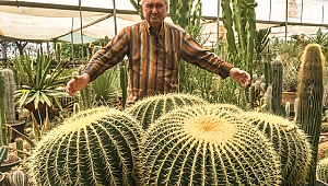  İzmirli Kaktüs İmparatoru : 