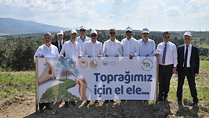 Manisa'da Çölleşmeyle Mücadele İçin 400 Adet Fidan Dikildi