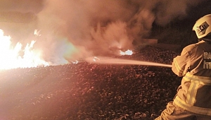 Orman deposunda çıkan yangın ucuz atlatıldı