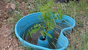 Sulamasız tarıma imkan veren ürün geliştirdiler