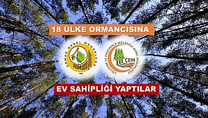 18 Ülke Ormancısı Mersin Ormanlarında 