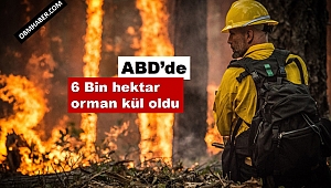ABD'de Orman Yangını Devam Ediyor