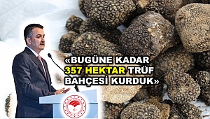 Bakan Pakdemirli: 