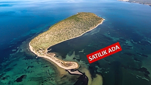 Çiçek adası 105 milyon liraya satışa çıkarıldı 
