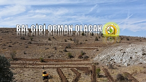 İnönü Bal Ormanı için 5 Bin 720 Fidan