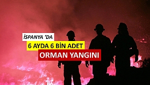 İspanya orman yangınlarıyla mücadele ediyor