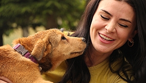 O; Sokak Hayvanlarının Pamuk Prensesi