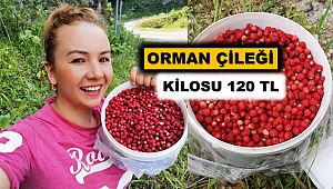 Sadece 1 Ay Toplanabiliyor