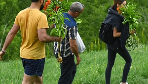 Ters Laleri Koparan 3 Kişiye 180 Bin TL Ceza