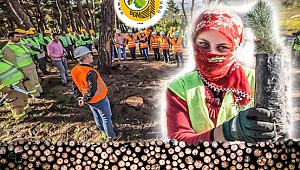 Türkiye Ormancılık Sektörü 12-16 Haziranda Ankara'da Buluşuyor