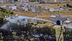 Yangın Orman Dışında Çıktı Ormana Girmeden Söndürüldü