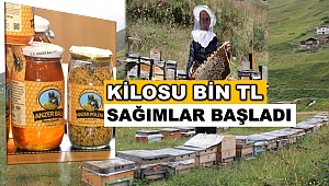 Ankara’daki Hacettepe Üniversitesi Onaylı Ballar