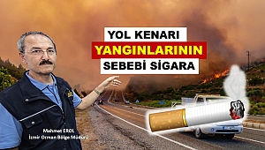 Aracından Sigara Atma Geride Yanmış Bir Orman Bırakma