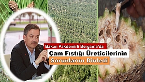  Bergama’dan Ankara’ya çam fıstığı seferberliği 
