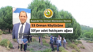 Fıstıkçamı Ağaçları Orman Köylüsünün Bütçesine Katkı Sağlayacak 
