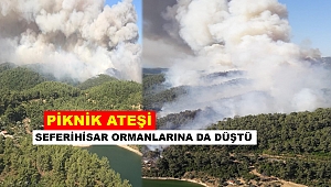 İzmir'i Dumana ve Üzüntüye Boğan Yangının Sebebi Piknik